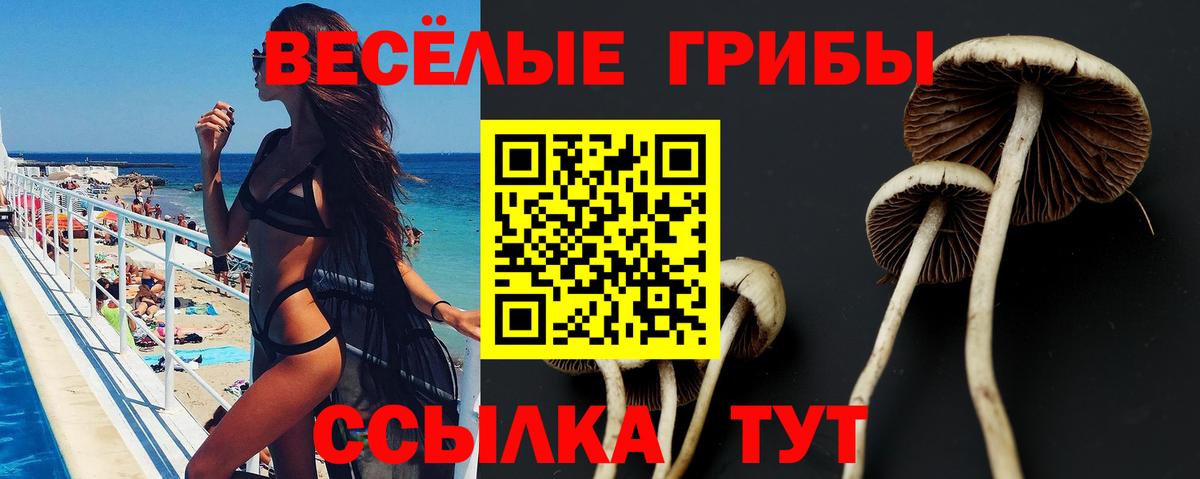 Галлюциногенные грибы мицелий  Вход с VPN  Стерлитамак  Галлюциногенные грибы ЛСД 